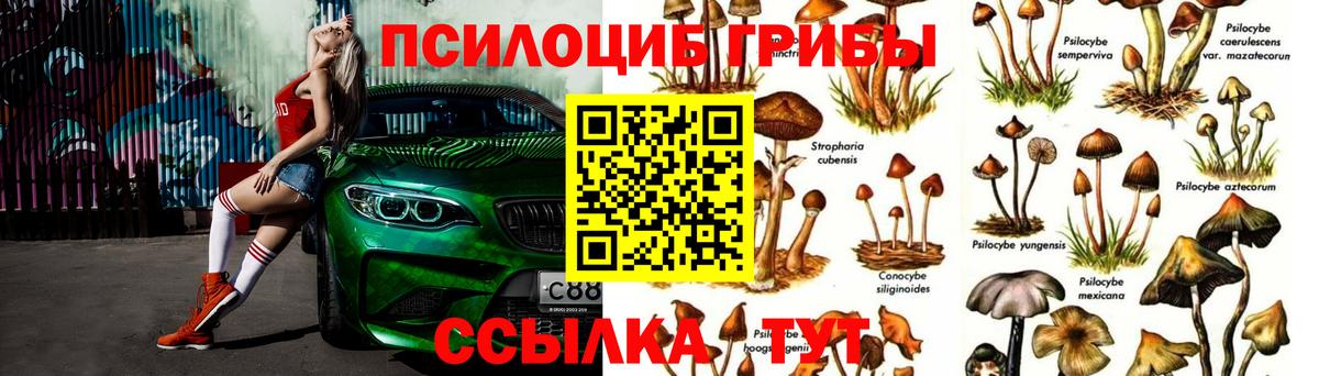Галлюциногенные грибы Cubensis  Вход с VPN  Якутск 